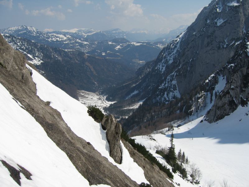 2009-04-13 Stripsenkopf (14)